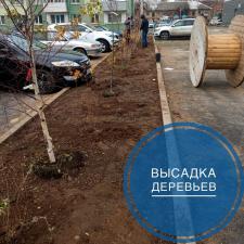 Высадка деревьев
